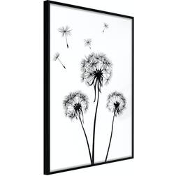 Arkiio Affisch Flying Dandelions [Poster] 40x60 Poster